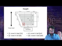 Introduction to Linguistics: Phonetics 2