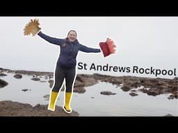 Explore St Andrews Beaches - with a marine biologist!