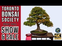 Toronto Bonsai Society 2024 Fall Show