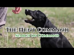 The Hunt Command: Teaching Dog to Search On Command