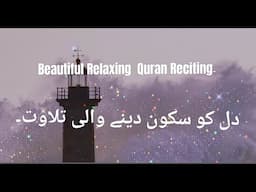 Relaxing Quran Reciting | Dil ko Sukoon dene Wali Tilawat | Abdul Rahman Mossad | Surah Ar Rahman