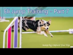 Jump Training Sessions 31-38, Part 7 - Agility Dog Training - Combating Bar Knocking Problems