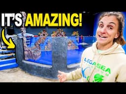 They Fixed My Destroyed Aquarium!