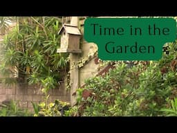 Time in the Garden| Frugal living