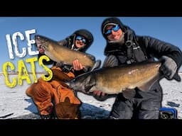 Catching 20+ Pound CATFISH Through the ICE!!