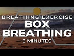 Box Breathing for Stress Relief (4-4-4-4)