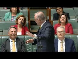 House Question Time 27 November 2024