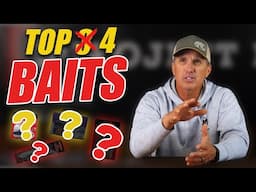 Top 4 Baits | Nov 2024