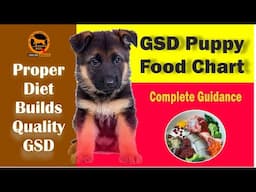 German Shepherd puppy foods chart | GSD puppy diet chart | Bengali | QDogS