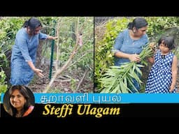 சூறாவளி புயல் in our Garden | Steffi Vlog in Tamil