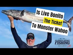 Is Live Bonito The Ticket To Monster Wahoo