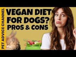 Can dogs become vegan and be healthy?