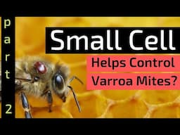 Beekeeping For Beginners - Does Small Cell Foundation Help Control Varroa Mites? | Part 2