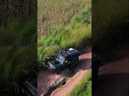 Off-road tracks in Tanzania - what a way to start the day! #landrover #overlanding #africa