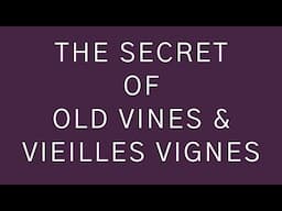 The Secret of Old Vine and Vieilles Vignes Wines