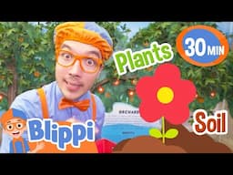 Explore Fruits & Veggies with Blippi 🥦🍓 | Educational Videos For Kids