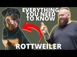 3 FASCINATING FACTS ABOUT THE ROTTWEILER