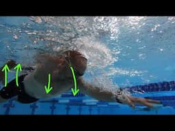 Paul Swim Analysis