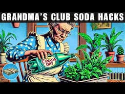 Grandma's 43 Club Soda Hacks that will BLOW YOUR MIND & MAKE LIFE EASIER!!!