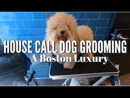 HOUSE CALL DOG GROOMING?? | GIVEAWAY(CLOSED)