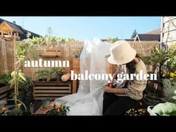 preparing my garden for winter | fall garden tour + summer harvest | 3m²/ 32 sqft balcony garden