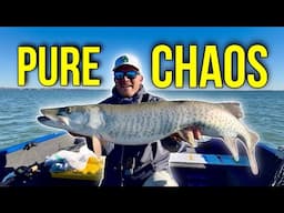 UNBELIEVABLE MORNING of Fall Musky Fishing Lake St. Clair!!!