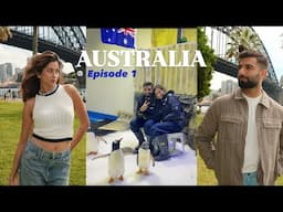 DATE WITH PENGUINS in Sydney ♥️ | New South Wales Ep 1 |