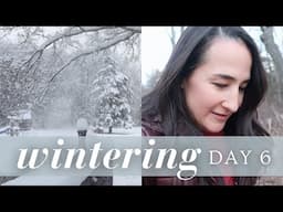 Ingredient Groceries + Winter Walks | January Wintering VLOGS