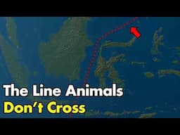 Why Animals Don’t Cross This Invisible Line