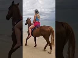 Healing with Horses in Tobago.  #tobago #Horses #tobagobeaches