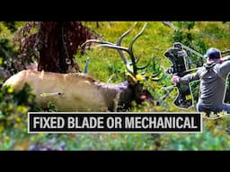 FIXED BLADE OR MECHANICALS | BROADHEAD PERFORMANCE 🎙️ EP. 873