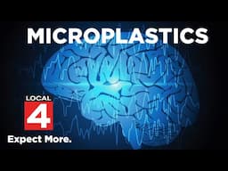 Study reveals extent of microplastic contamination Americans are exposed to