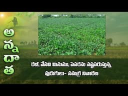 Pest management in Summer pulse crops black gram & green gram | ETV