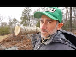 Growing Edible Mushrooms from Storm Fallen Trees