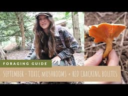 September Mushroom Hunt | Come And Learn Which Toxic Mushrooms Not To Eat! (+ a few edibles!)