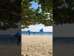 This tree saves people from sunburn  #boracaybeach #treeshade #beachsunset