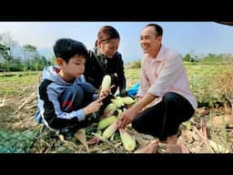 Harvest young corn at the beginning of the season. Dinner was full of laughter in the small house