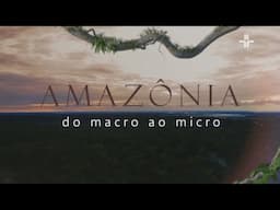 AMAZÔNIA DO MACRO AO MICRO | PÁSSAROS DA AMAZÔNIA