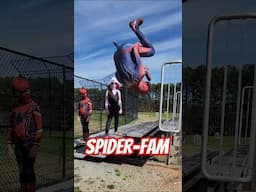 Best of Spider-Fam