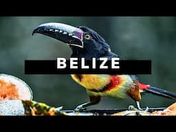 BELIZE TRAVEL DOCUMENTARY | The Grand Belizean Roadtrip 🇧🇿