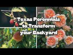 12 Perennial Plants to Transform Your Texas Backyard | Easy & Low Maintenance Gardening in Texas