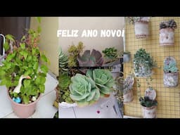 FELIZ ANO NOVO DUVIDAS SOBRE O CANAL FLORES E SUCULENTAS