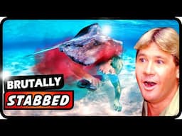 Steve Irwin's Final Moments: The Shocking Truth Revealed | Absolute Nature