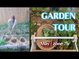 dense planting and lush growth, May garden update | Garden Vlog 4