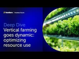 Leo Marcelis and colleagues | Vertical farming goes dynamic