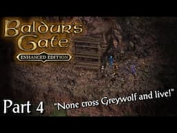 Stone Maidens and Grizzled Bounty Hunters - Baldur's Gate Enhanced Edition