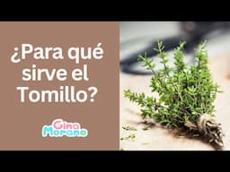 ¿Para qué sirve el tomillo?