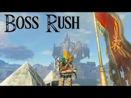 The Legend of Zelda: Tears of the Kingdom Boss Rush (Final Boss early)