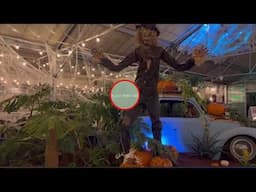 Halloween Plant Fest 2022 - No Talking - Plant Therapy