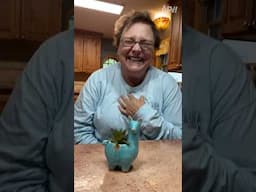 Fake plant, real love! 💖🤣 #afv #fail #funny